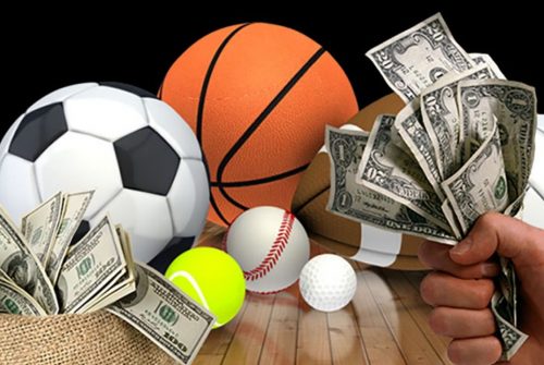 Choose from a wide range of sports betting options